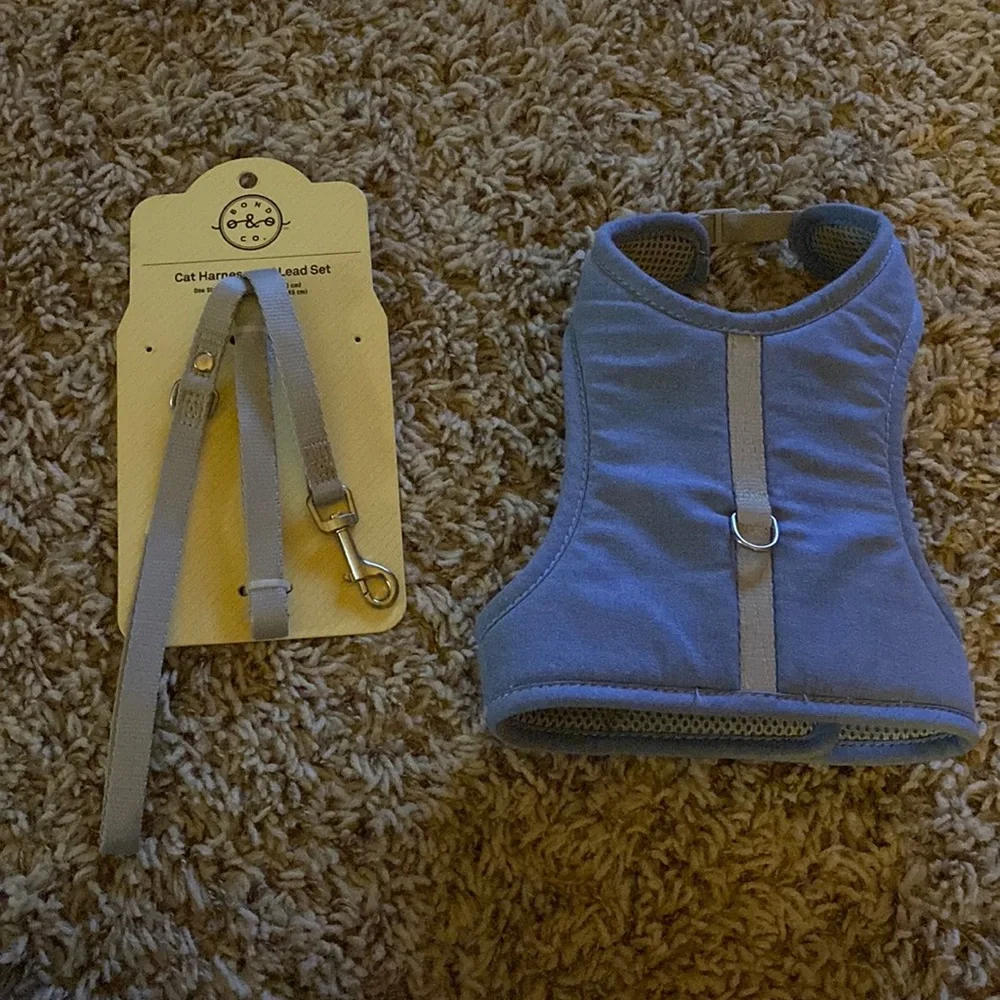 Cat harness and lead set